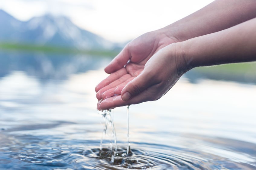 Formation en naturopathie : la lymphe, une grande oubliée