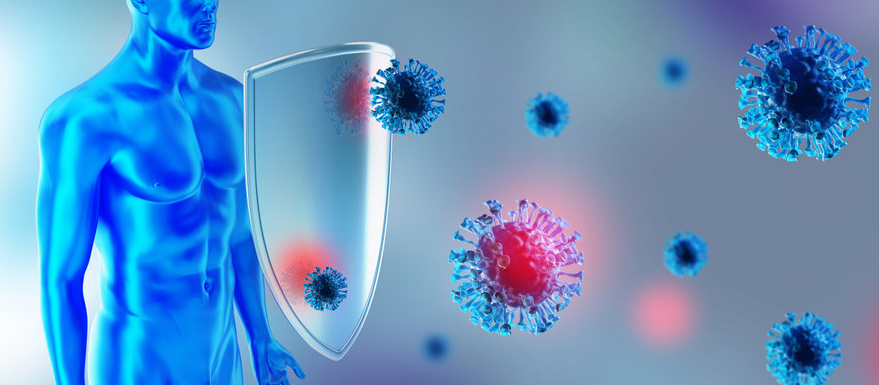 Le système immunitaire en naturopathie
