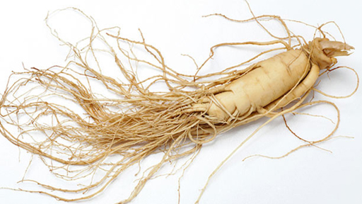 L’utilisation des plantes adaptogènes (ginseng, éleuthérocoque, ashwagandha) en naturopathie pour augmenter l’énergie vitale