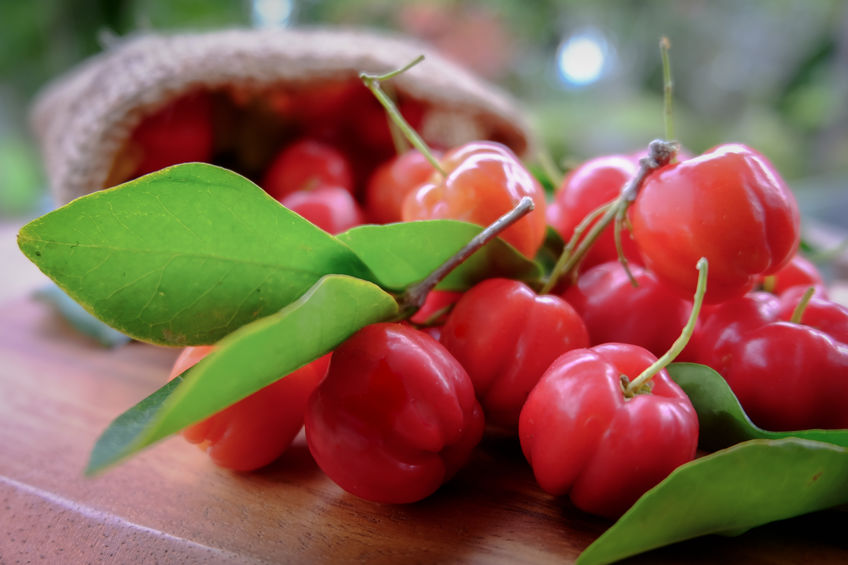 fruit acérola